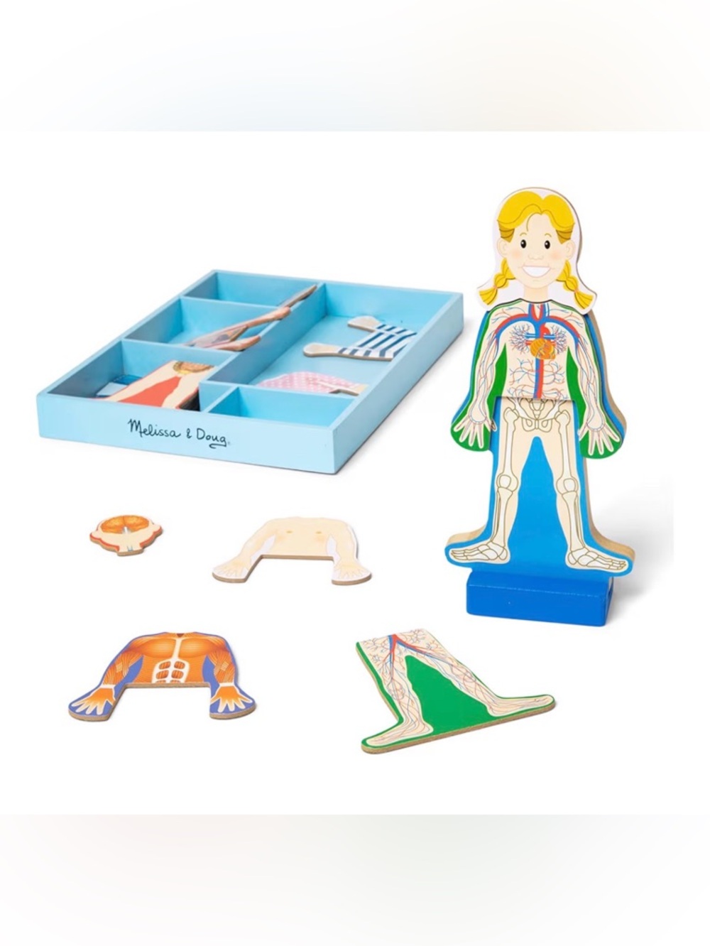 Melissa & Doug Magnetic Human Body Anatomy Play Set with 24 pcs and Storage Tray
